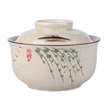 TuYines Zestaw ceramicznych misek do ramenu z pokrywkami, 800 ml miski na zupę, Pho, styl japoński