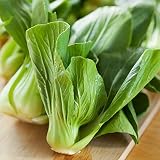 Kapusta chińska Pak Choi – adaptacyjność wobec chinensis