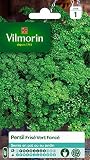 Vilmorin Ciemnozielona k pietruszka