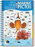 Pictolife Morski Pacyfik Azjatycki (w językach azjatyckich)