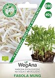 Fasola Mung na kiełki i mikrolistki 40g - WegAna